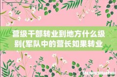 军队中的营长如果转业，等同于政府什么级别？和我们想的不一样 营级干部转业到地方什么级