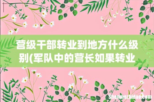 军队中的营长如果转业，等同于政府什么级别？和我们想的不一样 营级干部转业到地方什么级别