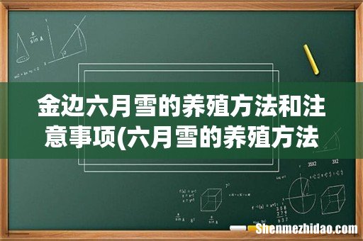 六月雪的养殖方法，六月雪盆景怎么养 金边六月雪的养殖方法和注意事项