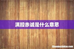 满腔赤诚是什么意思