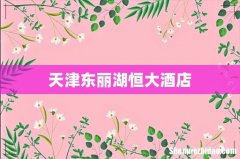 天津东丽湖恒大酒店