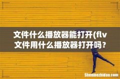 flv文件用什么播放器打开吗？ 文件什么播放器能打开