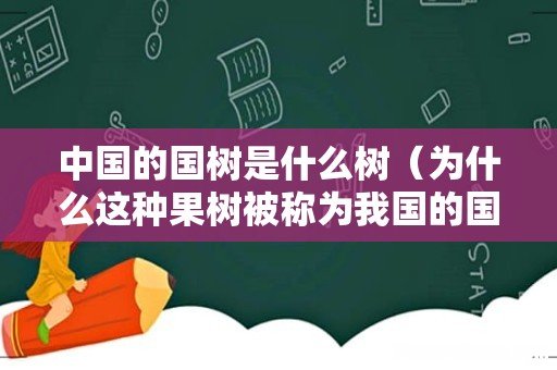 为什么这种果树被称为我国的国树 中国的国树是什么树