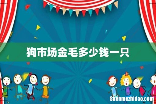 狗市场金毛多少钱一只