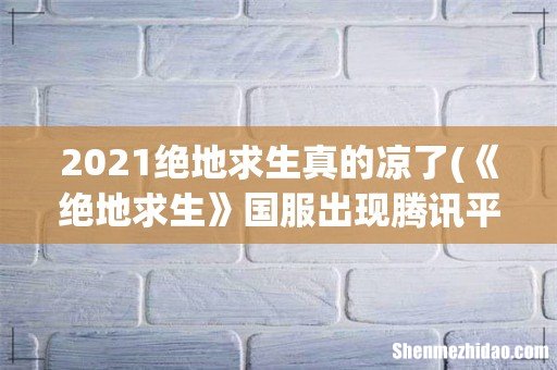 《绝地求生》国服出现腾讯平台下载 吃鸡国服终于上线有望 2021绝地求生真的凉了