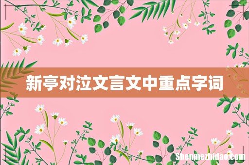 新亭对泣文言文中重点字词