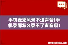 手机录屏怎么录不了声音啊！ 手机麦克风录不进声音