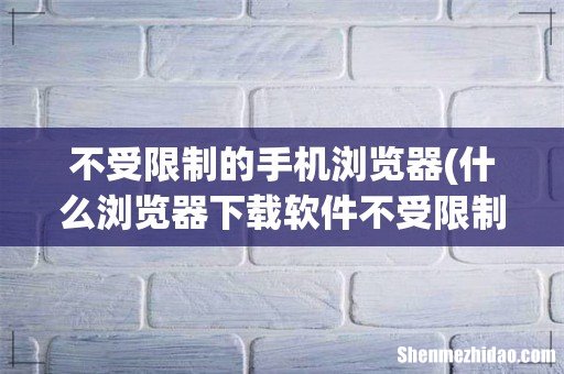 什么浏览器下载软件不受限制 不受限制的手机浏览器