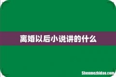 离婚以后小说讲的什么
