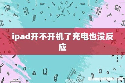 ipad开不开机了充电也没反应
