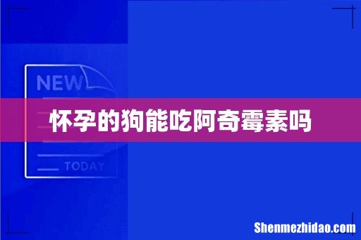 怀孕的狗能吃阿奇霉素吗