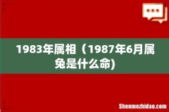 1983年属相（1987年6月属兔是什么命)
