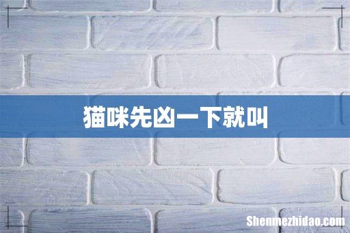 猫咪先凶一下就叫
