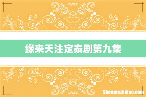 缘来天注定泰剧第九集