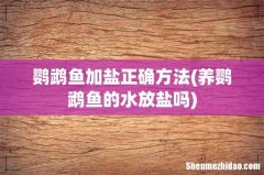 养鹦鹉鱼的水放盐吗 鹦鹉鱼加盐正确方法
