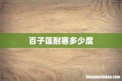 百子莲耐寒多少度