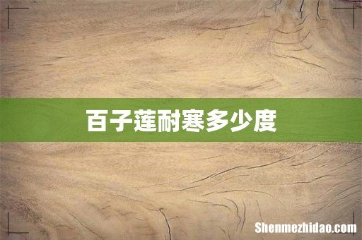 百子莲耐寒多少度