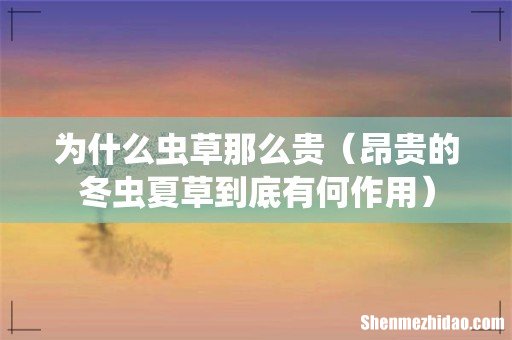 昂贵的冬虫夏草到底有何作用 为什么虫草那么贵