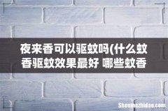 什么蚊香驱蚊效果最好 哪些蚊香驱蚊效果最好 夜来香可以驱蚊吗