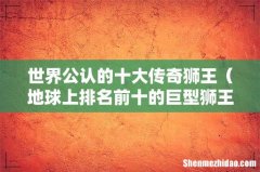 地球上排名前十的巨型狮王 世界公认的十大传奇狮王