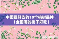 全国哪的桃子好吃 中国最好吃的10个桃树品种