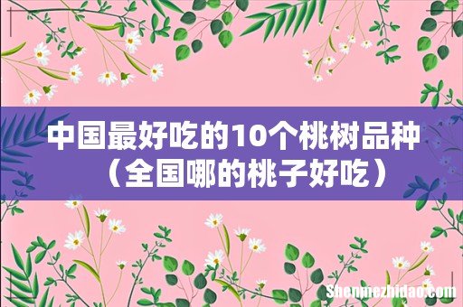 全国哪的桃子好吃 中国最好吃的10个桃树品种