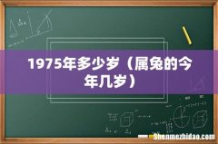 属兔的今年几岁 1975年多少岁