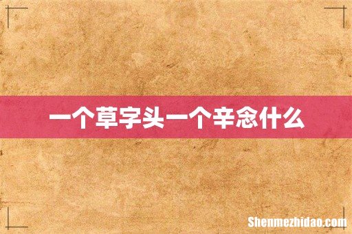 一个草字头一个辛念什么
