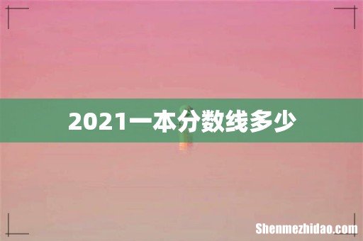 2021一本分数线多少