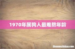 1970年属狗人最难熬年龄