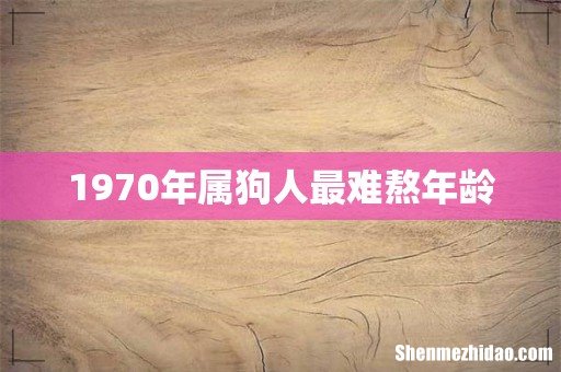 1970年属狗人最难熬年龄