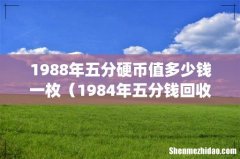 1988年五分硬币值多少钱一枚（1984年五分钱回收价格表)