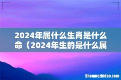 2024年生的是什么属相 2024年属什么生肖是什么命