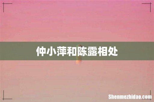 仲小萍和陈露相处