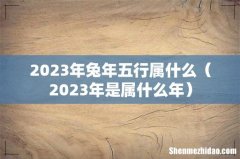 2023年是属什么年 2023年兔年五行属什么
