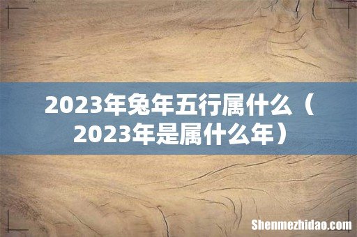 2023年是属什么年 2023年兔年五行属什么