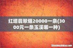 3000元一条玉溪哪一种 红塔翡翠烟20000一条