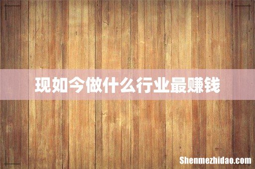 现如今做什么行业最赚钱