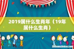 19年属什么生肖 2019属什么生肖年