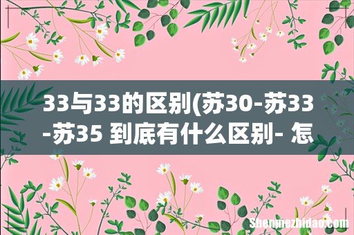 苏30-苏33-苏35 到底有什么区别- 怎么看起来都一样~ 33与33的区别