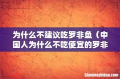 中国人为什么不吃便宜的罗非鱼 为什么不建议吃罗非鱼