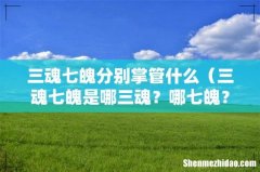 三魂七魄是哪三魂？哪七魄？ 三魂七魄分别掌管什么