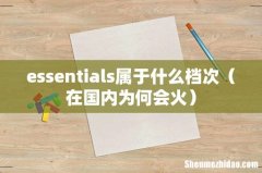 在国内为何会火 essentials属于什么档次