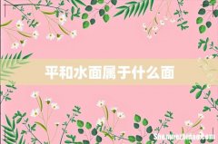 平和水面属于什么面