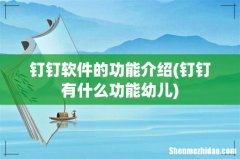 钉钉有什么功能幼儿 钉钉软件的功能介绍