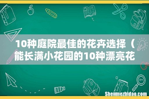 能长满小花园的10种漂亮花 10种庭院最佳的花卉选择