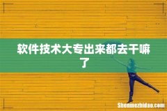 软件技术大专出来都去干嘛了