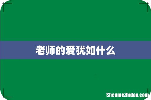 老师的爱犹如什么