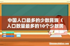人口数量最多的10个少数民族 中国人口最多的少数民族