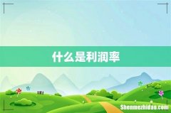 什么是利润率